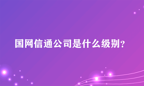 国网信通公司是什么级别？