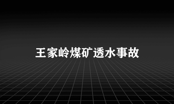 王家岭煤矿透水事故