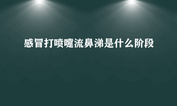 感冒打喷嚏流鼻涕是什么阶段