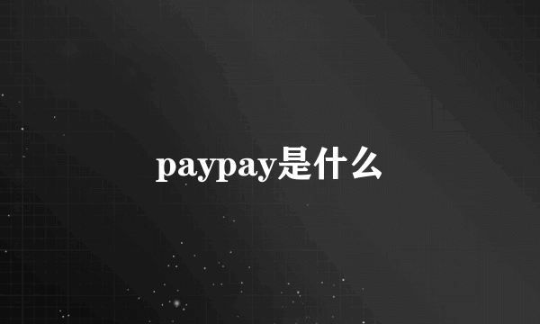 paypay是什么