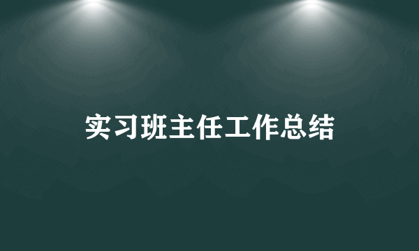 实习班主任工作总结