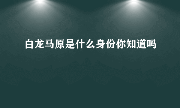 白龙马原是什么身份你知道吗