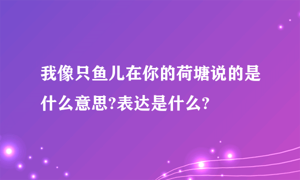 我像只鱼儿在你的荷塘说的是什么意思?表达是什么?