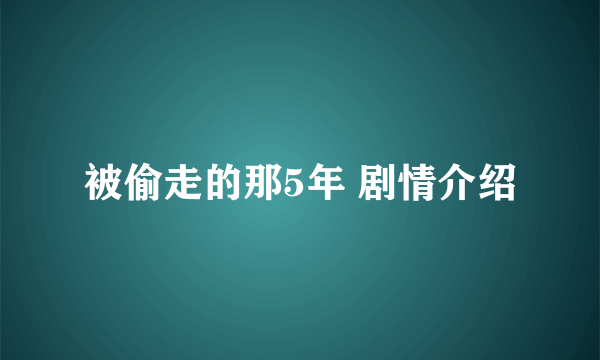 被偷走的那5年 剧情介绍