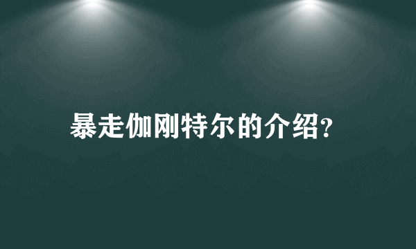 暴走伽刚特尔的介绍？