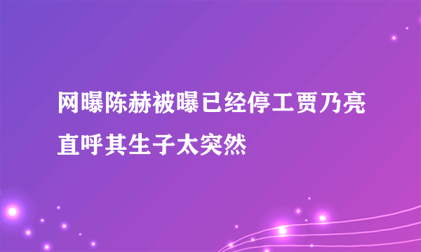 网曝陈赫被曝已经停工贾乃亮直呼其生子太突然