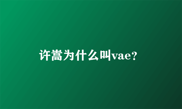 许嵩为什么叫vae？