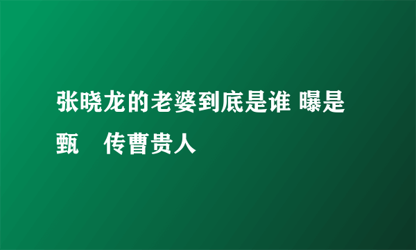 张晓龙的老婆到底是谁 曝是甄嬛传曹贵人