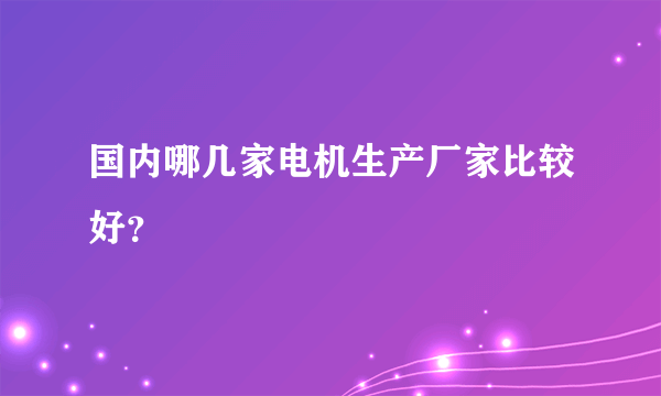 国内哪几家电机生产厂家比较好？