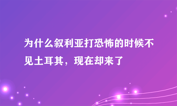 为什么叙利亚打恐怖的时候不见土耳其，现在却来了