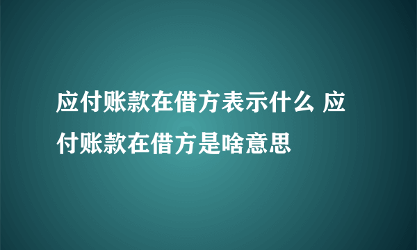 应付账款在借方表示什么 应付账款在借方是啥意思