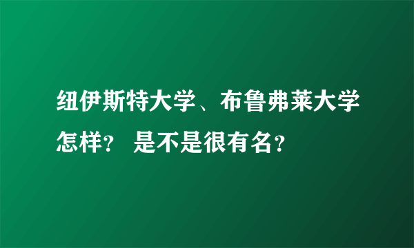 纽伊斯特大学、布鲁弗莱大学怎样？ 是不是很有名？