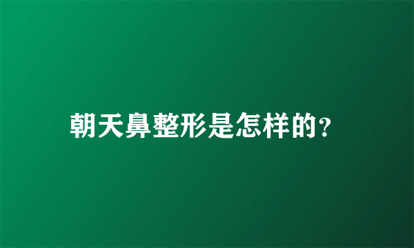 朝天鼻整形是怎样的？