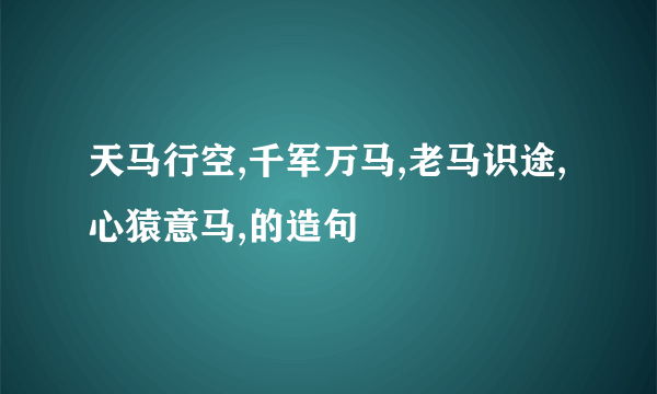 天马行空,千军万马,老马识途,心猿意马,的造句