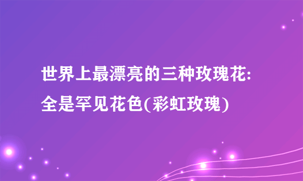 世界上最漂亮的三种玫瑰花:全是罕见花色(彩虹玫瑰)