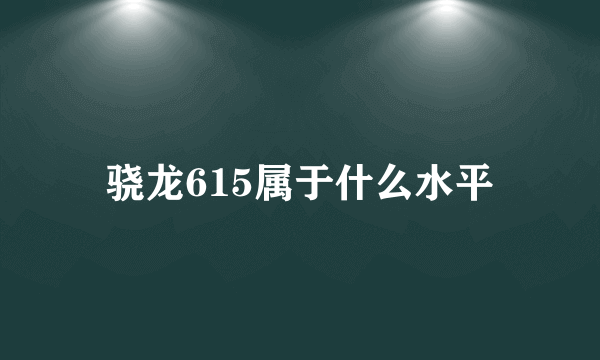 骁龙615属于什么水平