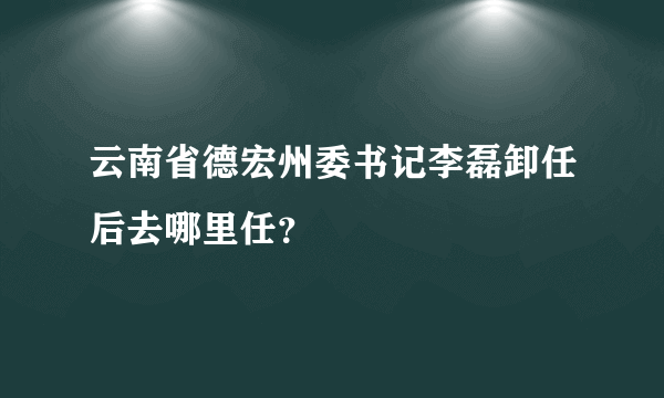 云南省德宏州委书记李磊卸任后去哪里任？