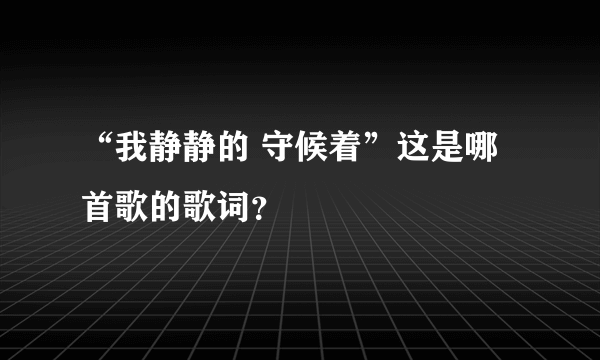 “我静静的 守候着”这是哪首歌的歌词？