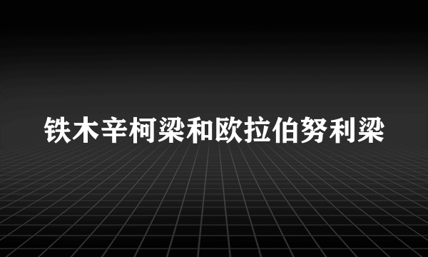 铁木辛柯梁和欧拉伯努利梁