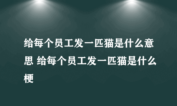 给每个员工发一匹猫是什么意思 给每个员工发一匹猫是什么梗