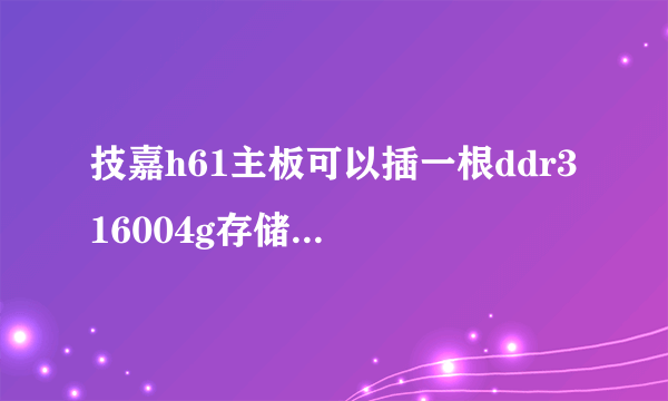 技嘉h61主板可以插一根ddr3 16004g存储空间跟一分钱8g的吗