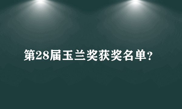 第28届玉兰奖获奖名单？