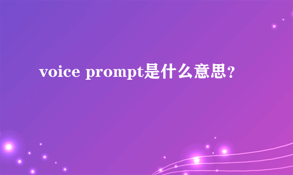 voice prompt是什么意思？