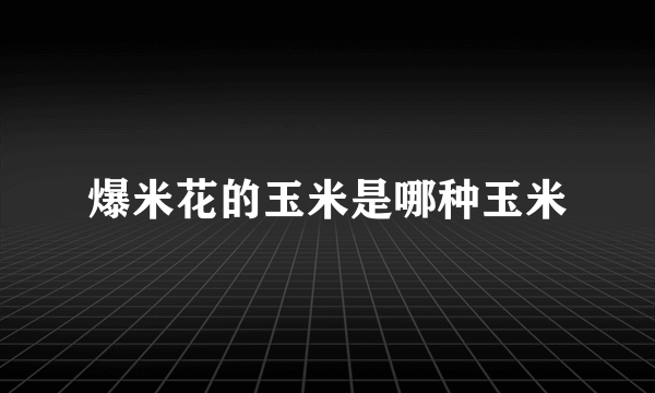 爆米花的玉米是哪种玉米