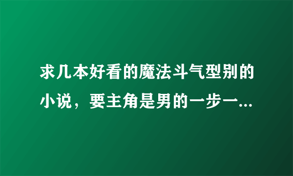 求几本好看的魔法斗气型别的小说，要主角是男的一步一步变强的，不要有精灵族这些种族的大神们帮帮忙