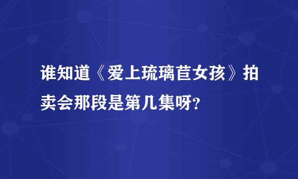 谁知道《爱上琉璃苣女孩》拍卖会那段是第几集呀？