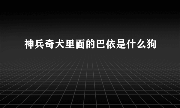 神兵奇犬里面的巴依是什么狗