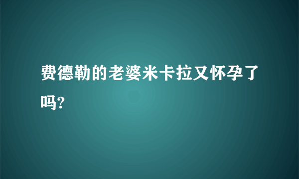 费德勒的老婆米卡拉又怀孕了吗?