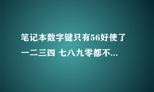 笔记本数字键只有56好使了 一二三四 七八九零都不好使了 为什么 怎么办