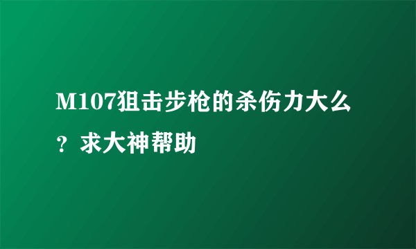 M107狙击步枪的杀伤力大么？求大神帮助