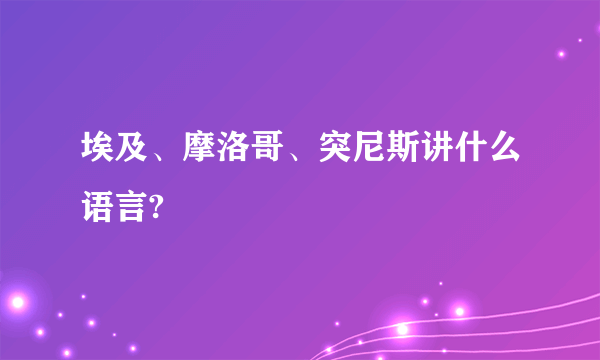 埃及、摩洛哥、突尼斯讲什么语言?