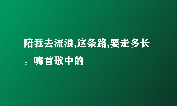 陪我去流浪,这条路,要走多长。哪首歌中的