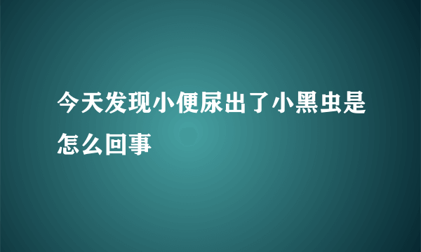 今天发现小便尿出了小黑虫是怎么回事