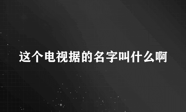 这个电视据的名字叫什么啊