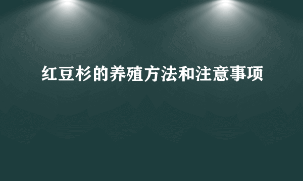 红豆杉的养殖方法和注意事项