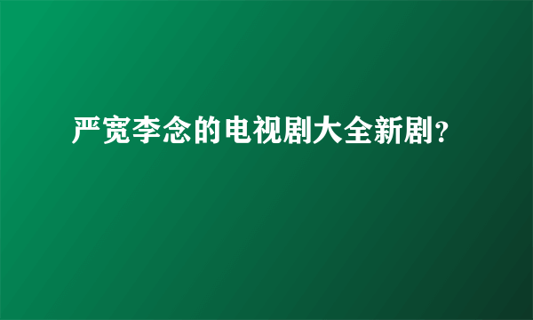 严宽李念的电视剧大全新剧？