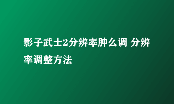 影子武士2分辨率肿么调 分辨率调整方法