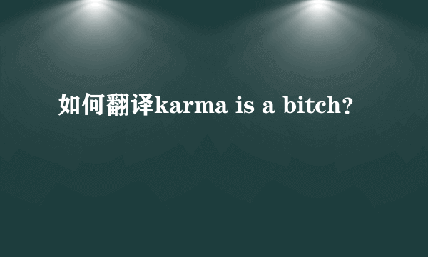 如何翻译karma is a bitch？