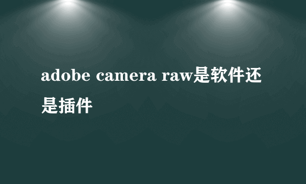 adobe camera raw是软件还是插件