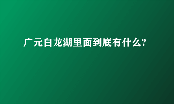 广元白龙湖里面到底有什么?