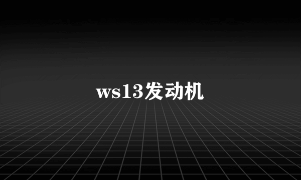 ws13发动机