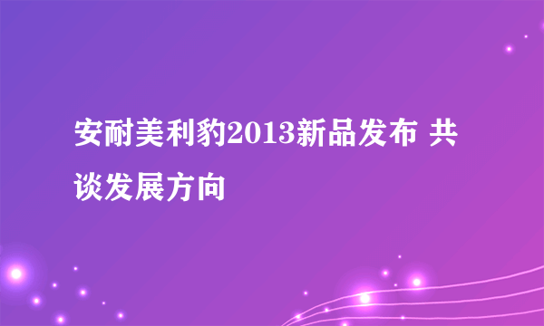 安耐美利豹2013新品发布 共谈发展方向