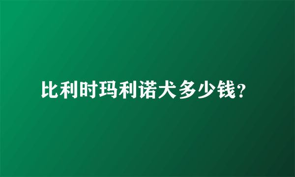 比利时玛利诺犬多少钱？