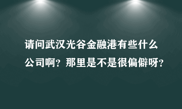 请问武汉光谷金融港有些什么公司啊？那里是不是很偏僻呀？