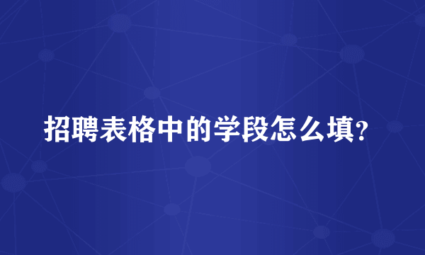 招聘表格中的学段怎么填？