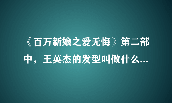 《百万新娘之爱无悔》第二部中，王英杰的发型叫做什么?哪一类的?怎么剪?